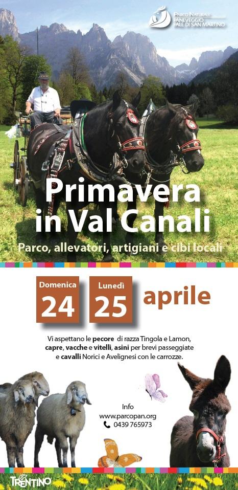 Primavera in Val Canali 2016.