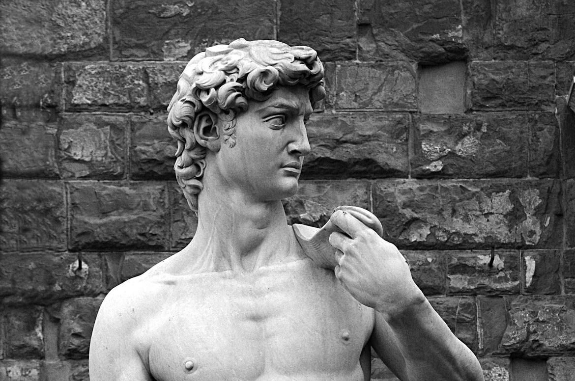 Il David di Michelangelo
